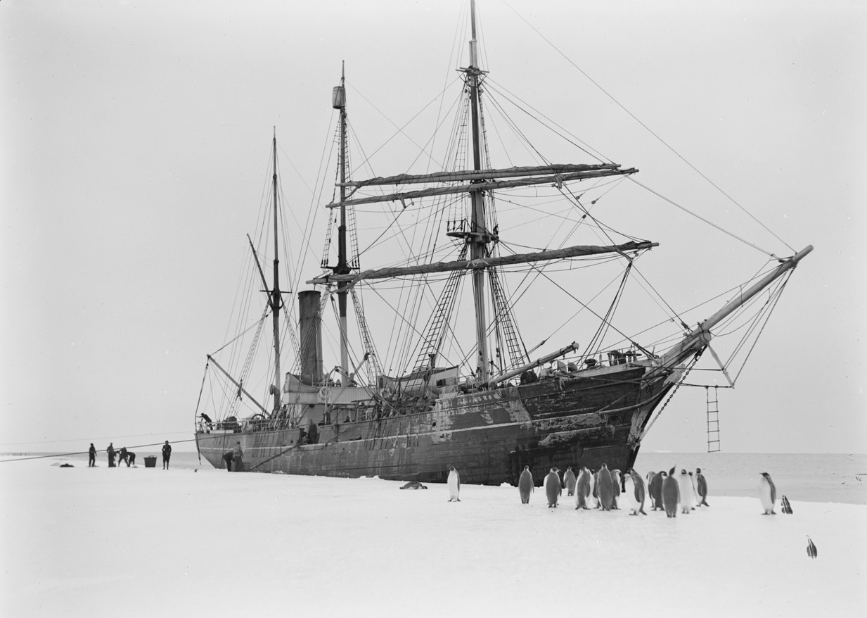SY Aurora in the ice.