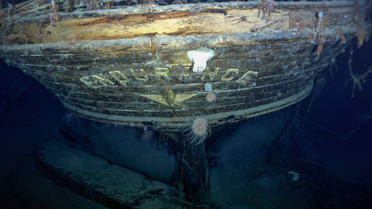 Stern of HMS Endurance as found in March 2022.