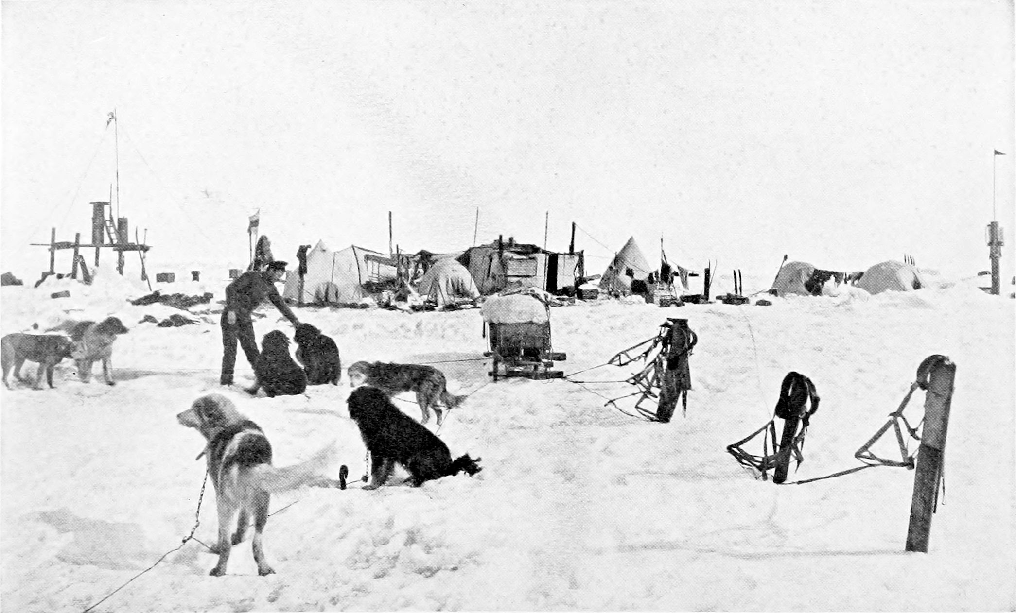 The scattered tents on the ice of Ocean Camp.
